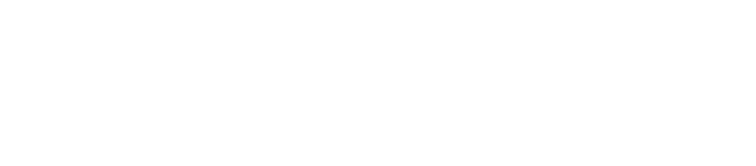 ViaMailBag